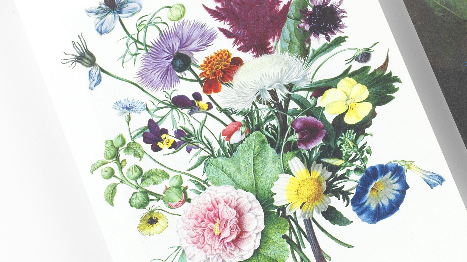 Bouquets A5 Notepad - Image 5