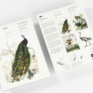 Birds A5 Notepad