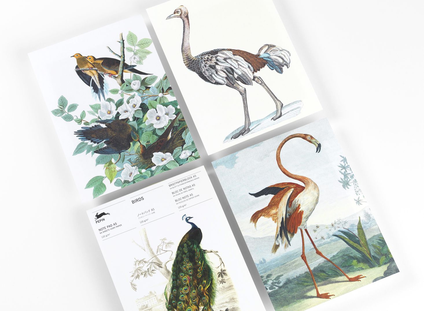 Birds A5 Notepad - Image 3
