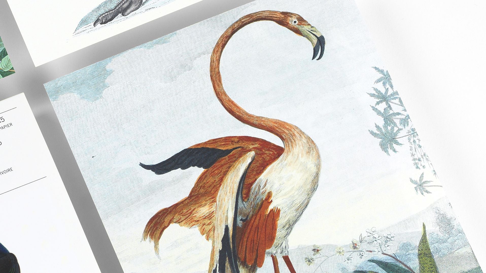 Birds A5 Notepad - Image 4