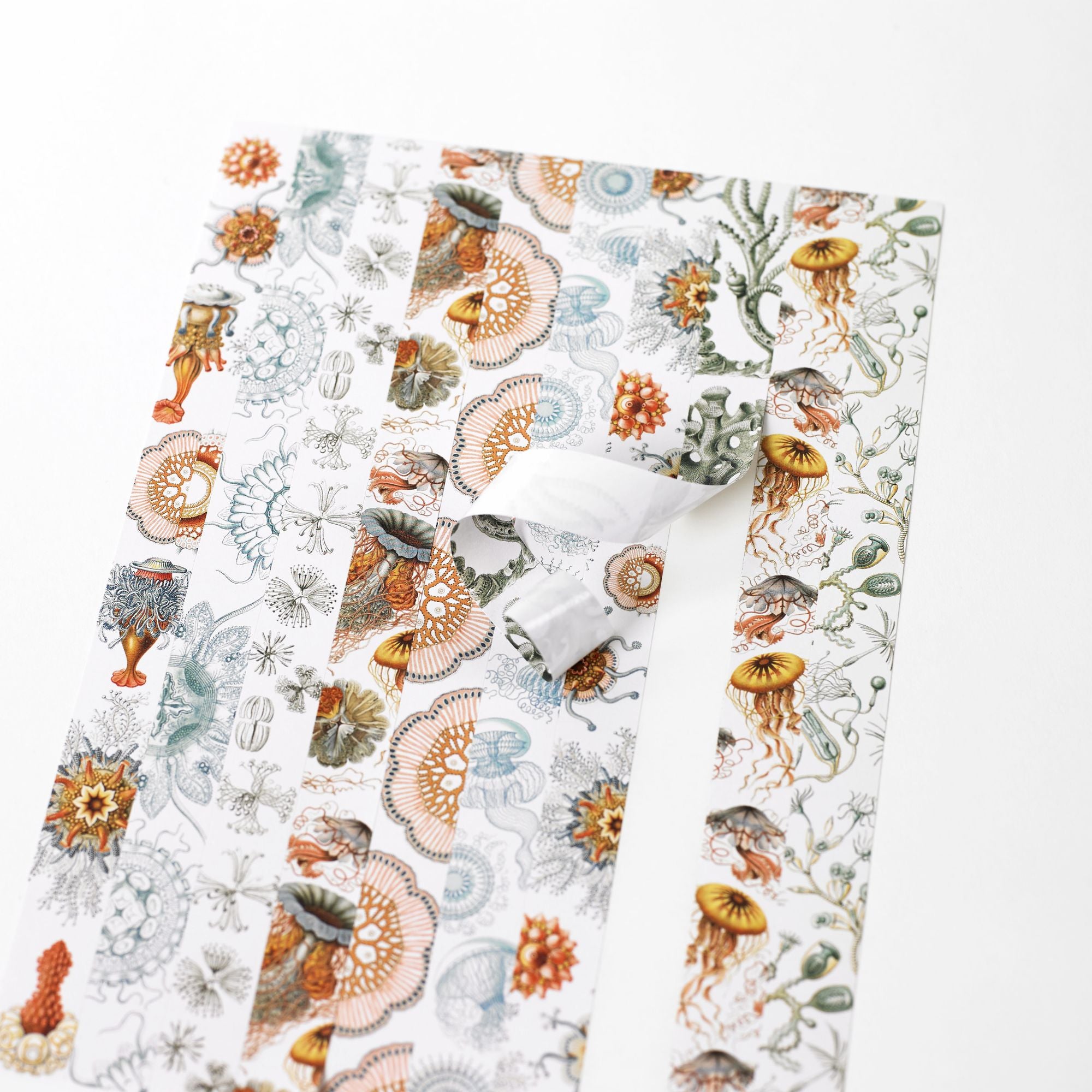 Art Forms in Nature Label. Sticker & Tape Book - Image 2