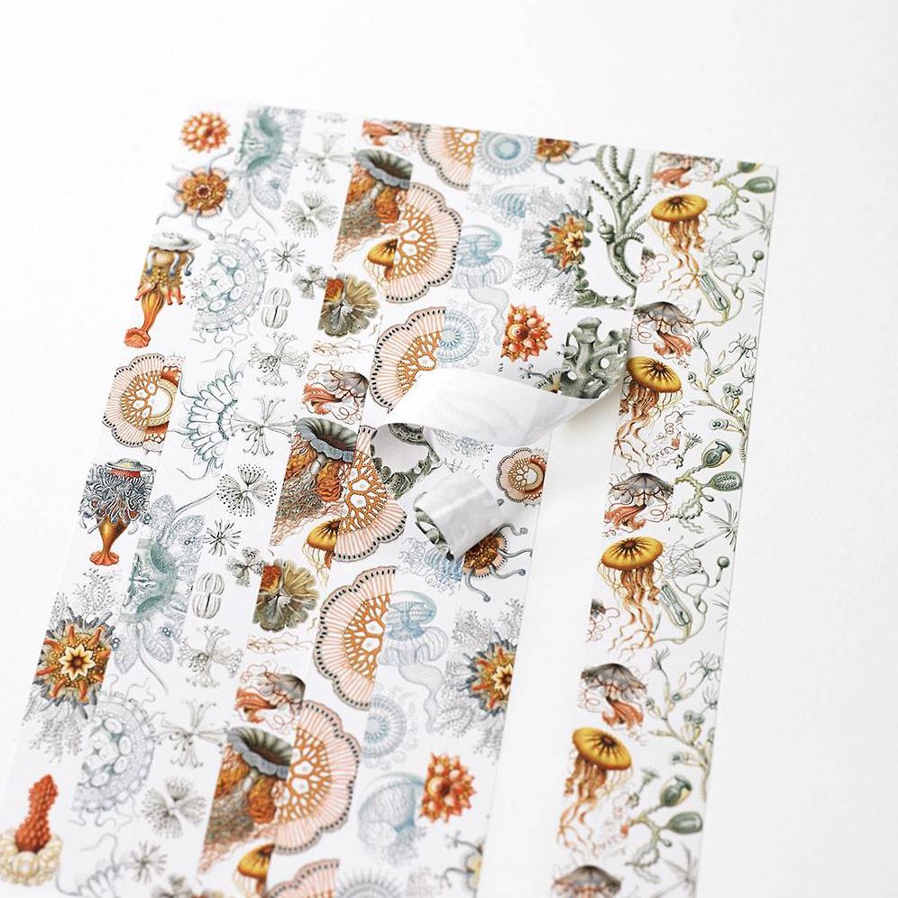 Art Forms in Nature Label. Sticker & Tape Book - Image 6
