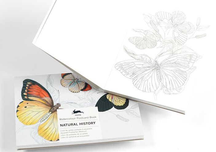 Natural History - Watercolour Postcard Book - Image 2