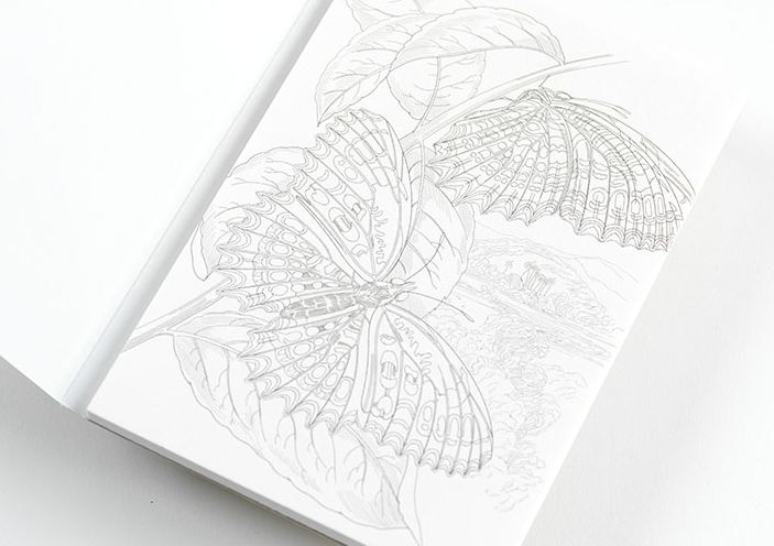 Natural History - Watercolour Postcard Book - Image 3